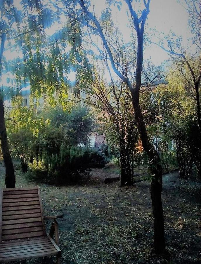Bussoleno Il Giardino Dei Merli المظهر الخارجي الصورة