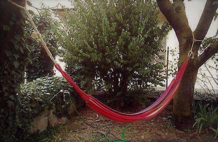 Bussoleno Il Giardino Dei Merli المظهر الخارجي الصورة